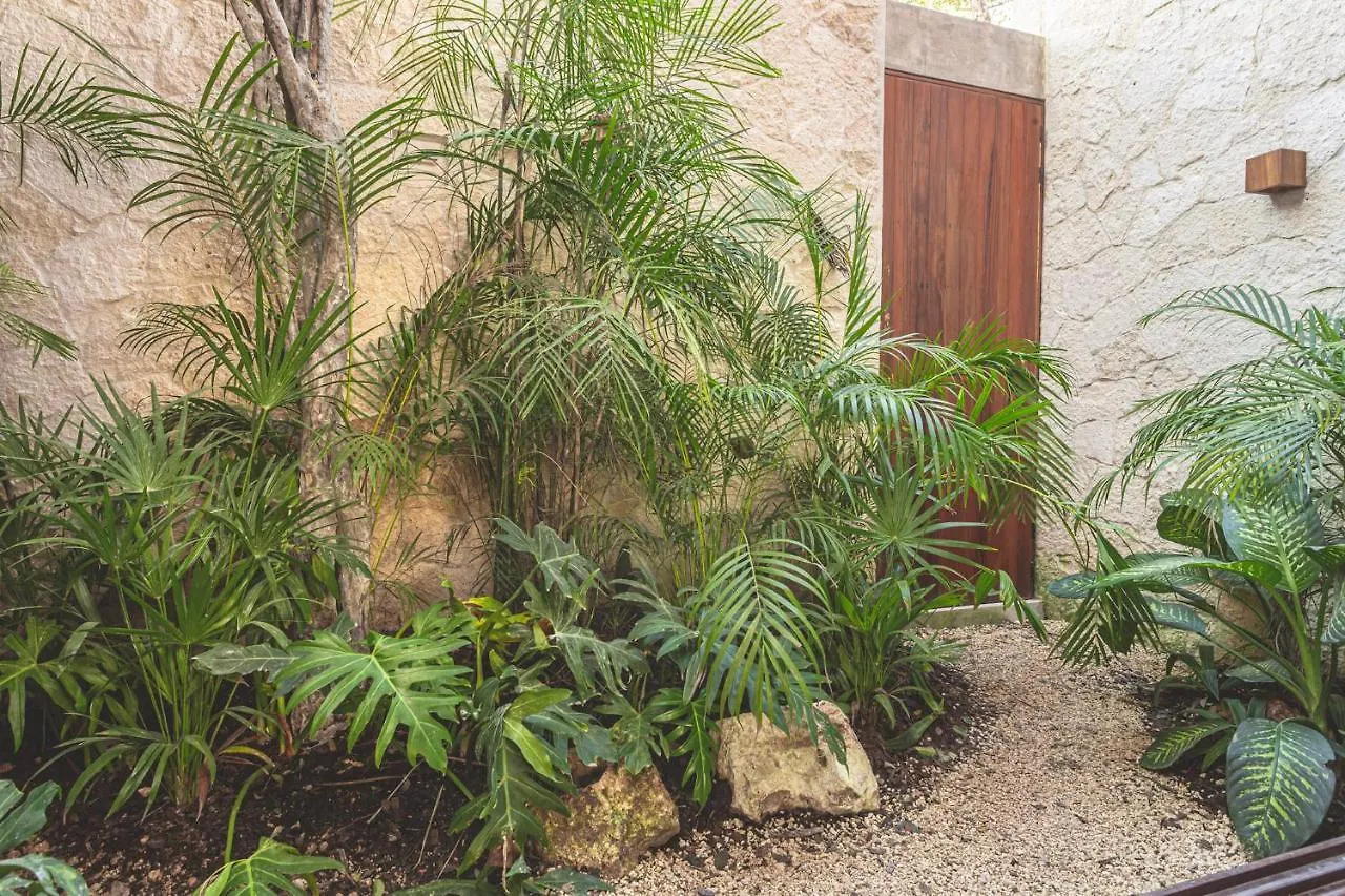 Entorno Tulum - Luxury Villas